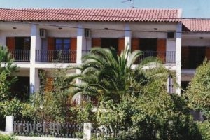 Alexander_accommodation_in_Hotel_Macedonia_Halkidiki_Haniotis - Chaniotis