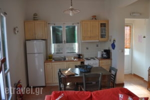 Elea Apartments_accommodation_in_Apartment_Ionian Islands_Ithaki_Ithaki Rest Areas