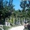 Faros Studios_lowest prices_in_Hotel_Ionian Islands_Lefkada_Lefkada's t Areas