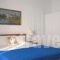 Scorpio Studios & Apartments_accommodation_in_Room_Cyclades Islands_Paros_Naousa