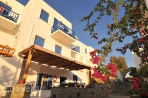 Votsalo Apartments_best deals_Apartment_Cyclades Islands_Paros_Piso Livadi