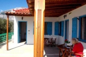 Gardenia_best prices_in_Hotel_Aegean Islands_Samos_Kambos