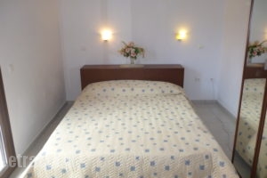 Ekaterini_holidays_in_Room_Ionian Islands_Corfu_Gouvia