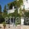 Elena Bungalows_travel_packages_in_Aegean Islands_Samos_Pythagorio