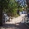 Xeni Camp & Bungalows_holidays_in_Room_Peloponesse_Argolida_Nafplio