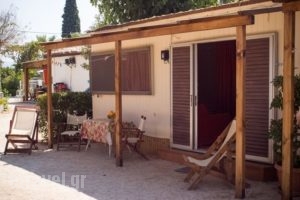 Xeni Camp & Bungalows_lowest prices_in_Room_Peloponesse_Argolida_Nafplio