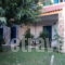 Apollo Beach_best deals_Apartment_Central Greece_Fokida_Marathias