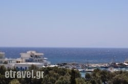 Hotel Vicky in Tinos Rest Areas, Tinos, Cyclades Islands