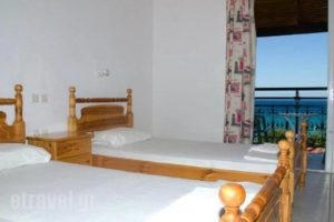 Adonis Studios_holidays_in_Apartment_Ionian Islands_Zakinthos_Alikanas