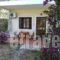 Rent Rooms Alexiou_accommodation_in_Hotel_Central Greece_Evia_Limni