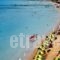 Hotel Roulis_best prices_in_Hotel_Ionian Islands_Corfu_Corfu Rest Areas