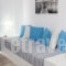 Seagull_best prices_in_Apartment_Crete_Chania_Agia Marina