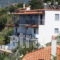 Sea View_best prices_in_Apartment_Sporades Islands_Skopelos_Skopelos Chora