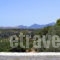 Dalabelos_best deals_Apartment_Crete_Rethymnon_Perama