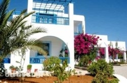 Sunflower studios in Agios Ioannis, Mykonos, Cyclades Islands