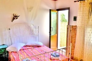 Studios Elina_holidays_in_Hotel_Aegean Islands_Thasos_Thasos Rest Areas