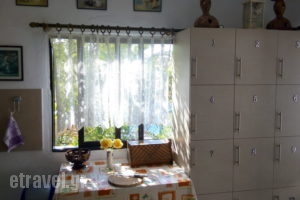 Gorgona Rooms_best prices_in_Room_Aegean Islands_Thasos_Thasos Rest Areas