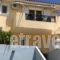 Vasilas_best deals_Hotel_Aegean Islands_Lesvos_Tavari