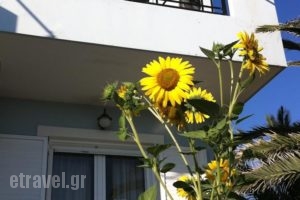 Vasilas_accommodation_in_Hotel_Aegean Islands_Lesvos_Tavari