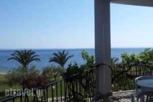 Afroditi Beach_holidays_in_Hotel_Macedonia_Halkidiki_Poligyros