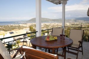 Niver Plaza_best deals_Hotel_Ionian Islands_Lefkada_Lefkada's t Areas