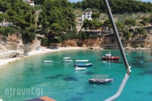 Pension Dimitris_lowest prices_in_Hotel_Sporades Islands_Alonnisos_Alonissosora