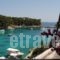 Pension Dimitris_accommodation_in_Hotel_Sporades Islands_Alonnisos_Alonissosora