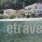 Avlakia Beach Studios & Apartments_lowest prices_in_Apartment_Aegean Islands_Samos_Samos Chora