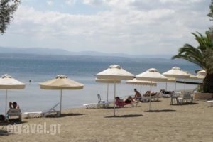 Hotel Petit Village_holidays_in_Hotel_Central Greece_Evia_Eretria