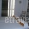 Pension Mary_best deals_Hotel_Crete_Lasithi_Aghios Nikolaos