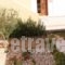 Sea View Hotel_best deals_Hotel_Dodekanessos Islands_Tilos_Livadia