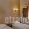 Polys Guest House_best deals_Hotel_Macedonia_Pieria_Katerini