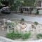 GuestHouse Iris_best deals_Hotel_Peloponesse_Lakonia_Mystras