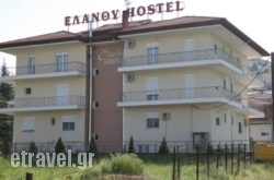 Elanthi Hostel in Tymbaki, Heraklion, Crete