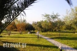 Rooms with View in  Valtesiniko, Arcadia, Peloponesse