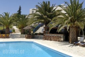 Albatross Hotel_best prices_in_Hotel_Cyclades Islands_Paros_Piso Livadi