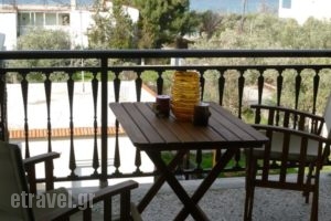 Sotiras Rooms_best deals_Room_Aegean Islands_Thasos_Skala of Sotiros