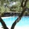 Villea Village_accommodation_in_Hotel_Crete_Lasithi_Makrys Gialos