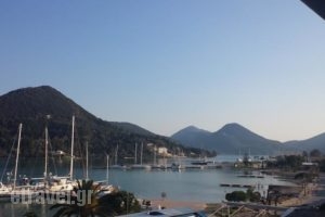 Babis Apartments_best deals_Apartment_Ionian Islands_Lefkada_Lefkada's t Areas