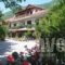 Alexandros_accommodation_in_Hotel_Macedonia_Pella_Aridea