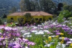 Countryside Studios in Anaxos, Lesvos, Aegean Islands