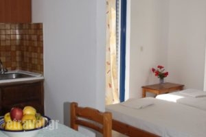 Kaloxenia_holidays_in_Hotel_Dodekanessos Islands_Kos_Kardamena