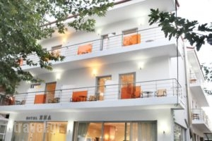 Hotel Ena_holidays_in_Hotel_Central Greece_Fthiotida_Ypati