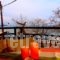 Marianni Rooms_best deals_Room_Macedonia_Halkidiki_Arnea