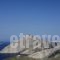 Provalma Studios_best prices_in_Hotel_Cyclades Islands_Folegandros_Folegandros Chora