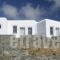 Provalma Studios_lowest prices_in_Hotel_Cyclades Islands_Folegandros_Folegandros Chora