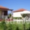 Beach Bungalows_accommodation_in_Hotel_Ionian Islands_Zakinthos_Alykes