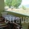 Vassilis Studios_travel_packages_in_Central Greece_Evia_Neos Pyrgos