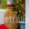 Angelos Apartments_best deals_Apartment_Sporades Islands_Alonnisos_Alonissos Chora