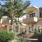 Lola's Hotel_best deals_Hotel_Crete_Chania_Platanias